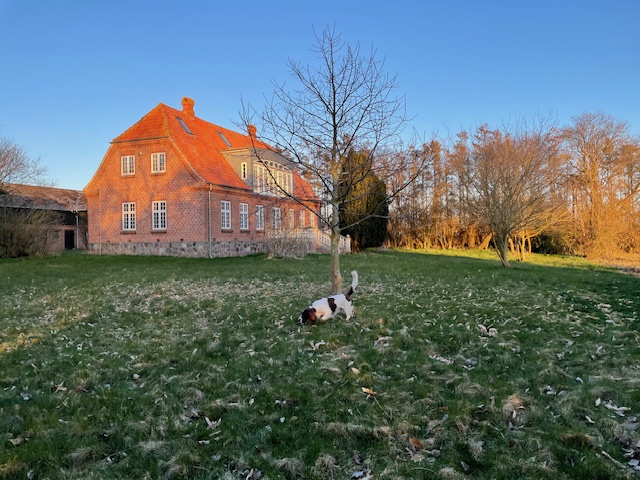Rødstenshus og have i sollys